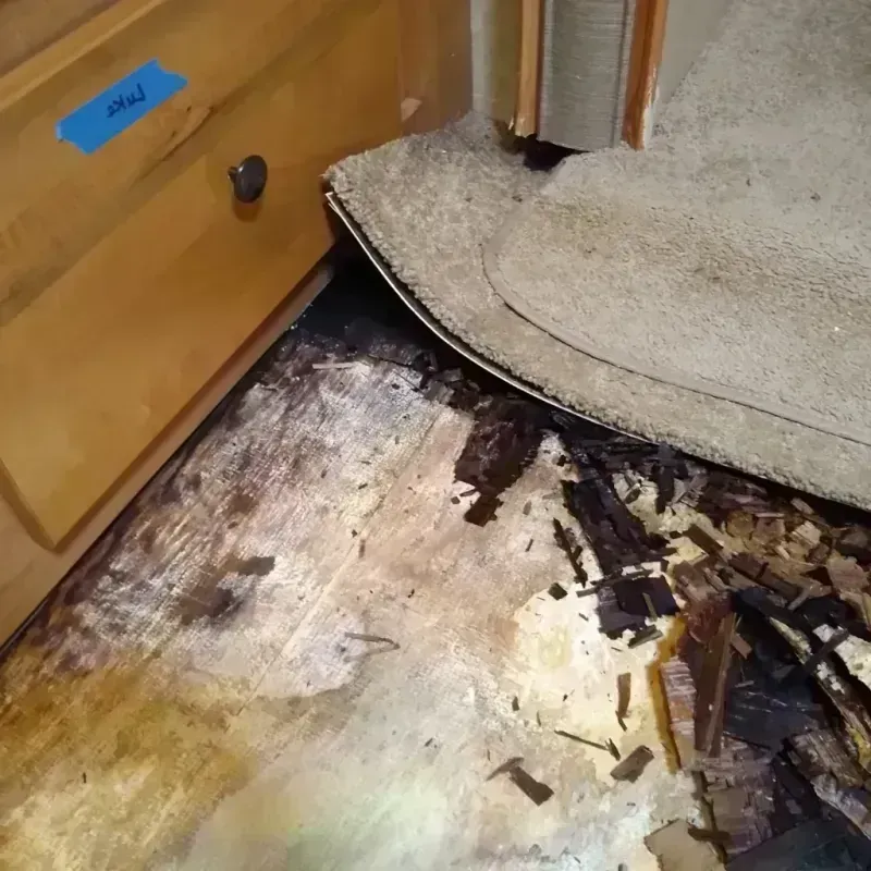 Wood Floor Water Damage in Washington, KS